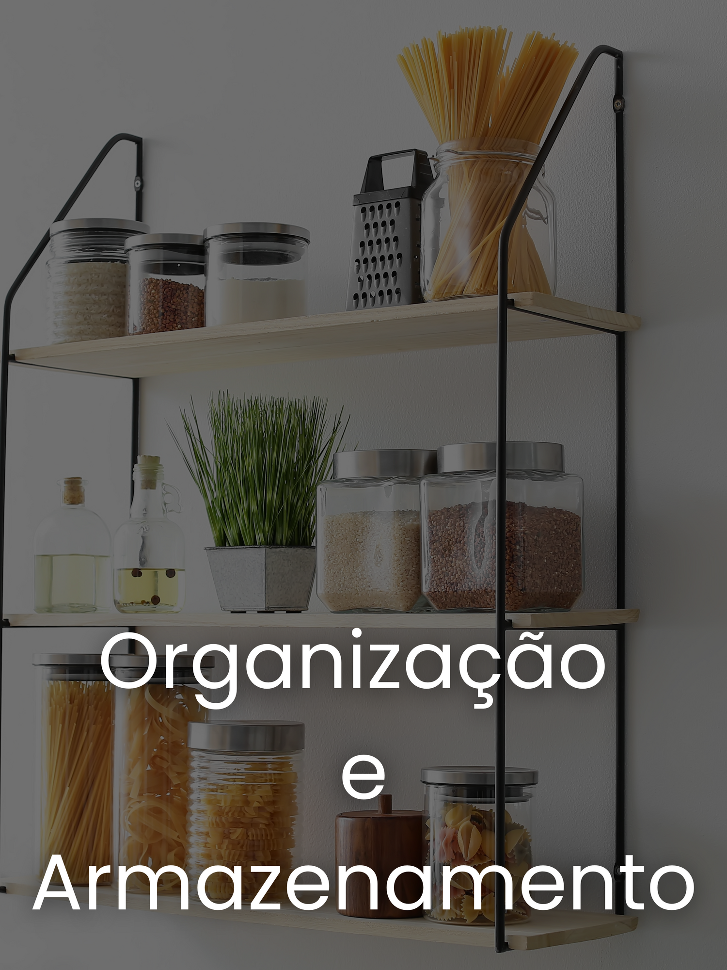 Organização e Armazenamento